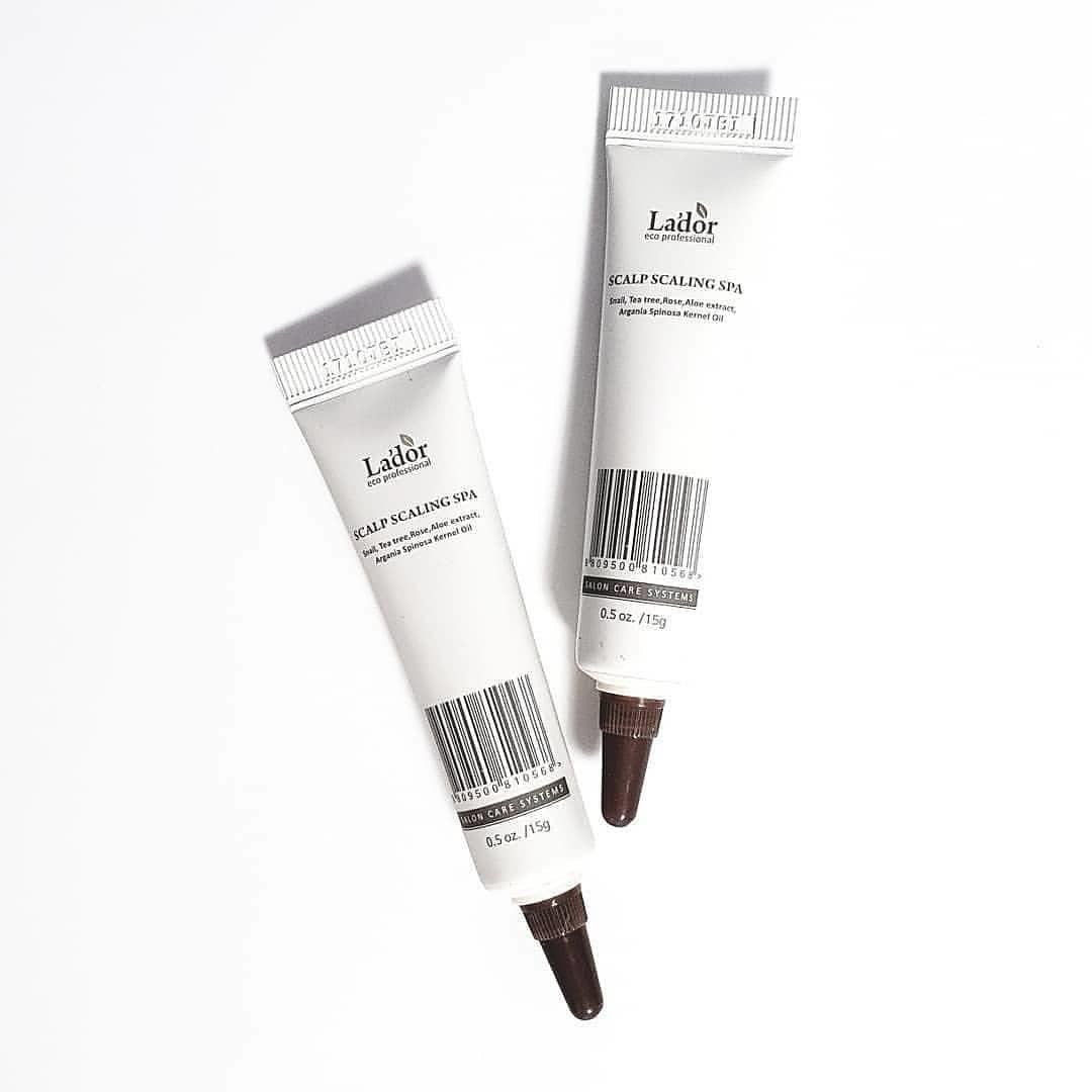 54277410_424278864993460_2628360479686694390_n