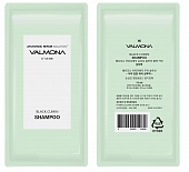 Шампунь для волос Аюрведа пробник Evas Valmona Ayurvedic Scalp Solution Black Cumin Shampoo Sample