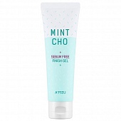 Финиш-гель для жирной кожи A'Pieu Mintcho Sebum Free Finish Gel