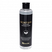 Тонер для лица с древесным углем Secret Skin Black Head Cleansing Toner